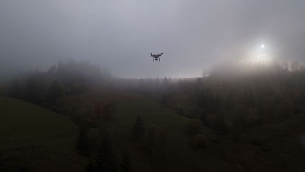Drone - Sputnik International