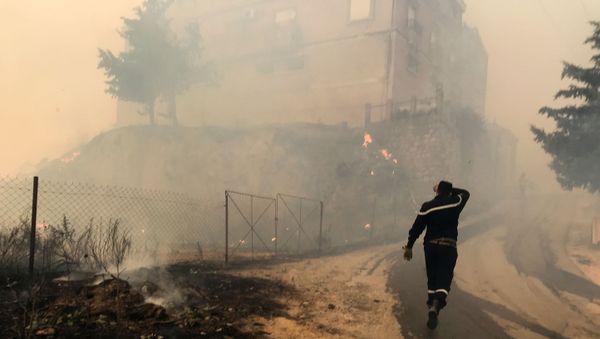 A civil protection rescue worker walks near smoke rising from a forest fire in the mountainous Tizi Ouzou province, east of Algiers, Algeria August 10, 2021. - Sputnik International