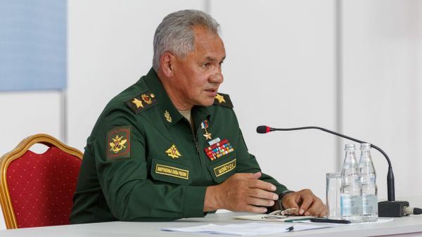 Russian Defense Minister Sergey Shoigu - Sputnik International