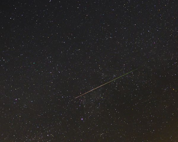 Perseid comet near Deneb. Deneb is the brightest start in the lower middle of the picture and is the tail of the swan constellation Cygnus. - Sputnik International