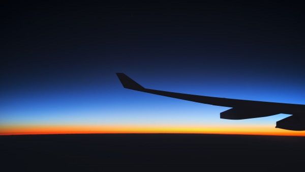 Sky wing plane - Sputnik International