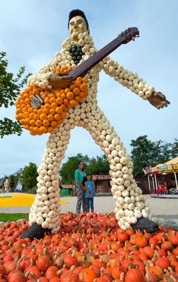 A sculpture made of pumpkins depicting US singer Elvis Presley is displayed at an event farm house in Klaistow, eastern Germany, on 27 August 2015.   - Sputnik International