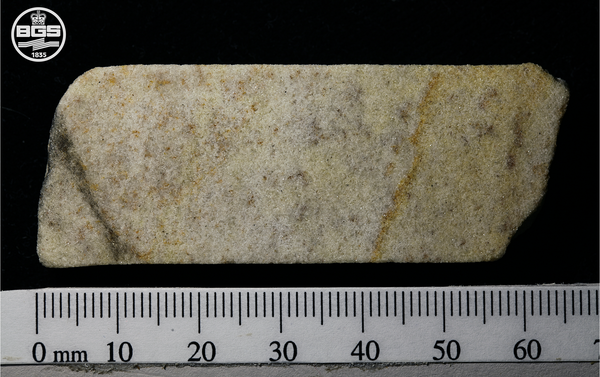 Image of section 2–3 of the Phillips’ Core from Stone 58 at Stonehenge. Image of section 2–3 of the Phillips’ Core from Stone 58 at Stonehenge. - Sputnik International