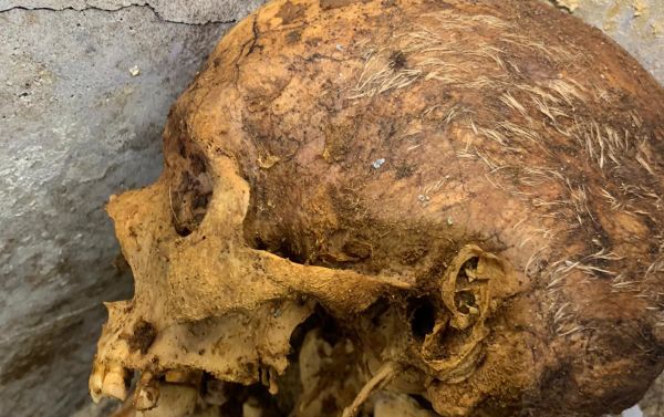 A closeup photo of the skull of human remains found in a tomb in the ancient Roman city of Pompeii A closeup photo of the skull of human remains found in a tomb in the ancient Roman city of Pompeii - Sputnik International