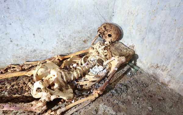 Mummified remains of the former slave Secundio at the discovery site in a tomb in the ancient Roman city of Pompeii, where there laid for almost 2,000 years. Mummified remains of the former slave Secundio at the discovery site in a tomb in the ancient Roman city of Pompeii, where there laid for almost 2,000 years. - Sputnik International