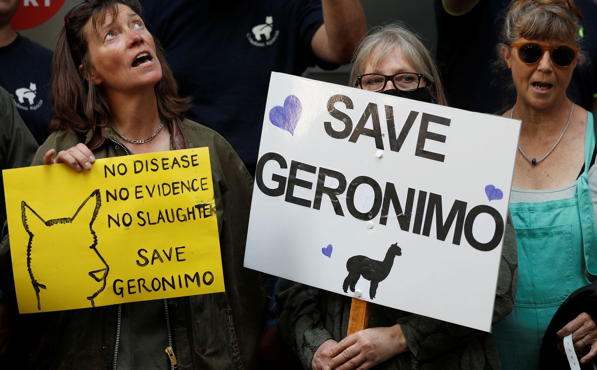 Protesters demonstrate against the ruling that Geronimo, an Alpaca believed to be carrying TB, has to be euthanised, in London, Britain, August 9, 2021 Protesters demonstrate against the ruling that Geronimo, an Alpaca believed to be carrying TB, has to be euthanised, in London, Britain, August 9, 2021 - Sputnik International, 1920, 07.09.2021