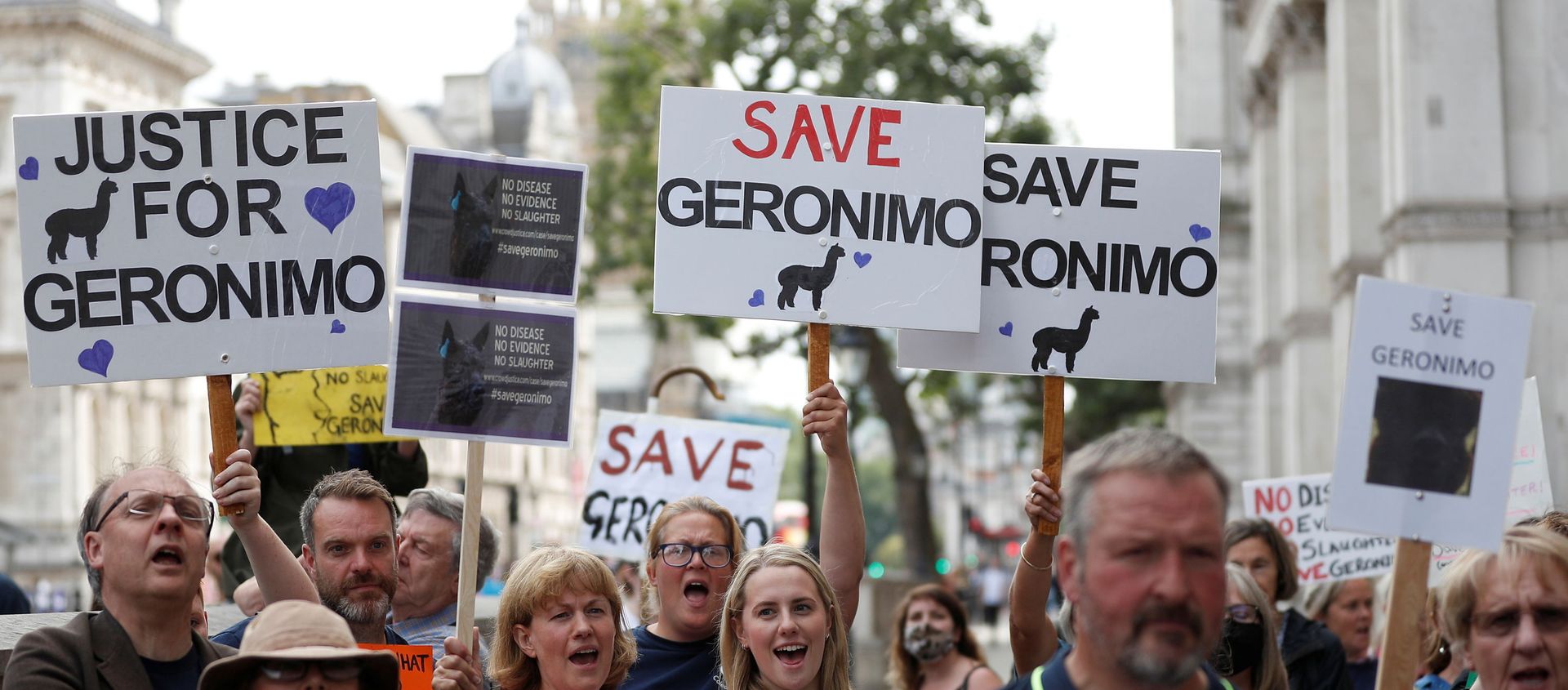Protesters demonstrate against the ruling that Geronimo, an Alpaca believed to be carrying TB, has to be euthanised, in London, Britain, August 9, 2021 Protesters demonstrate against the ruling that Geronimo, an Alpaca believed to be carrying TB, has to be euthanised, in London, Britain, August 9, 2021 - Sputnik International, 1920, 31.08.2021