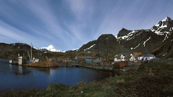 Grytviken at South Georgia and South Sandwich Islands, whaling station in 1989 - Sputnik International