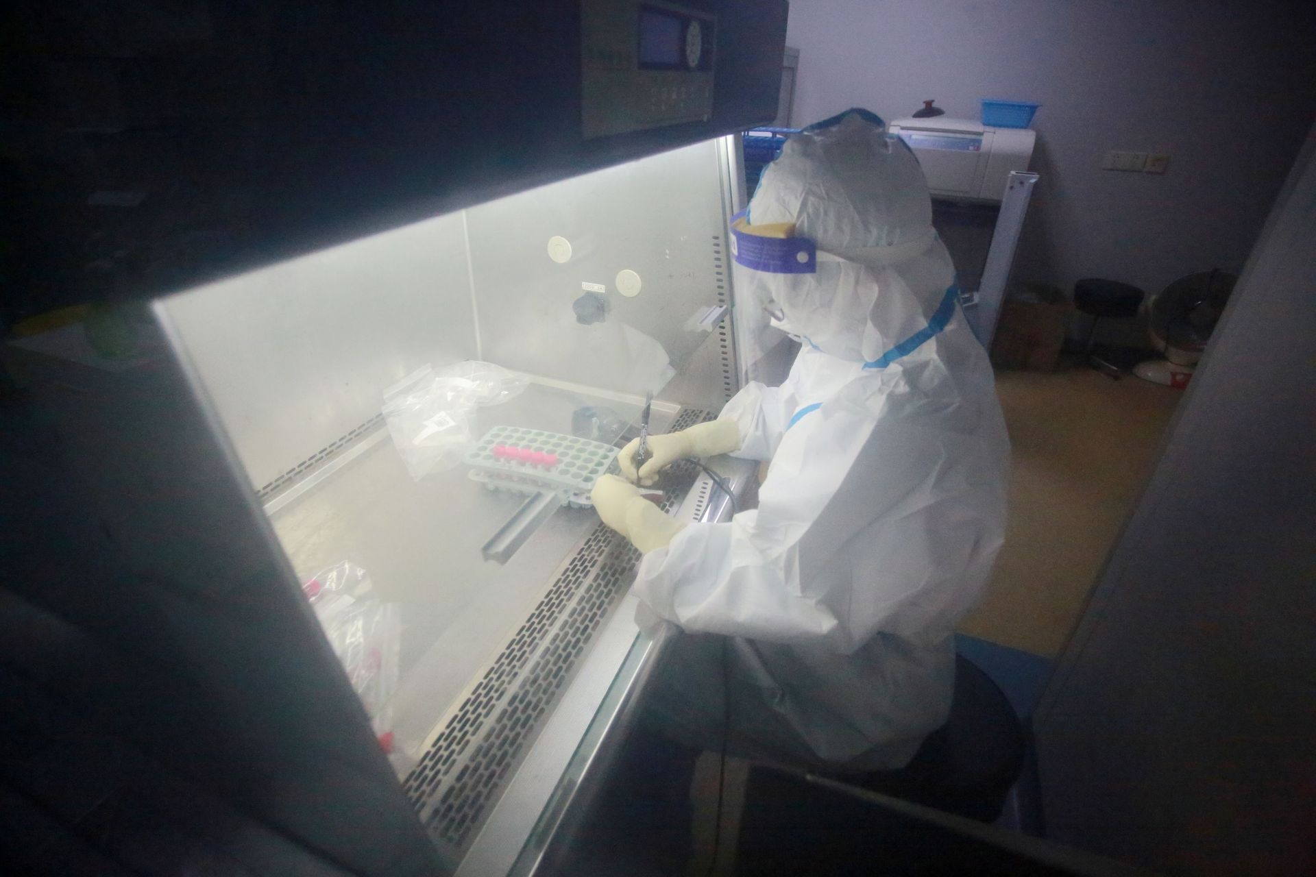 A medical worker in protective suit tests nucleic acid samples at a laboratory of Northern Jiangsu People's Hospital, following new cases of the coronavirus disease (COVID-19) in Yangzhou, Jiangsu province, China August 4, 2021 A medical worker in protective suit tests nucleic acid samples at a laboratory of Northern Jiangsu People's Hospital, following new cases of the coronavirus disease (COVID-19) in Yangzhou, Jiangsu province, China August 4, 2021 - Sputnik International, 1920, 19.09.2021