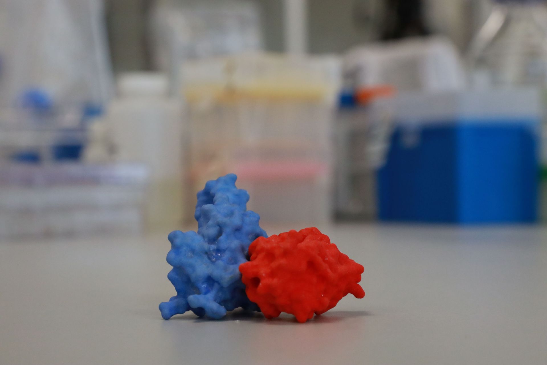 An enlarged 3D model of a spike protein (blue) connected to an antibody (red) sits on a table in VIB-UGent Center, amid the coronavirus disease (COVID-19) pandemic, in Ghent, Belgium August 23, 2021 An enlarged 3D model of a spike protein (blue) connected to an antibody (red) sits on a table in VIB-UGent Center, amid the coronavirus disease (COVID-19) pandemic, in Ghent, Belgium August 23, 2021 - Sputnik International, 1920, 07.09.2021