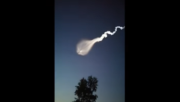 Unknown Jellyfish Looking Object Enters Atmosphere - Sputnik International