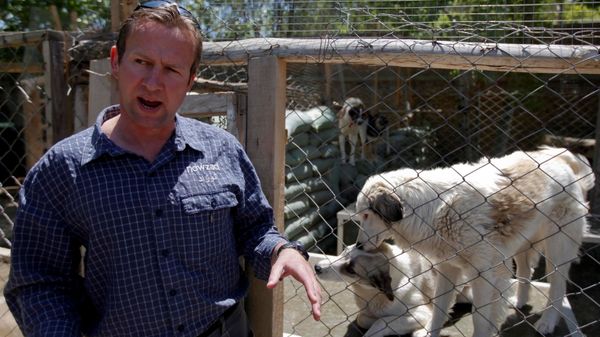 Pen Farthing, founder of British charity Nowzad, an animal shelter, stands in front of a cage on the outskirts of Kabul May 1, 2012. A former Royal Marine, Farthing adopted his dog Nowzad, named after a Helmand district, during his tour there in 2006. He then set up the charity, where dogs and some cats are neutered and vaccinated against rabies before their journeys abroad. Nowzad has given homes to over 330 dogs since it was founded, mostly to soldiers from the U.S. and Britain, but also from South Africa, Australia, Canada and the Netherlands. Picture taken May 1, 2012. - Sputnik International