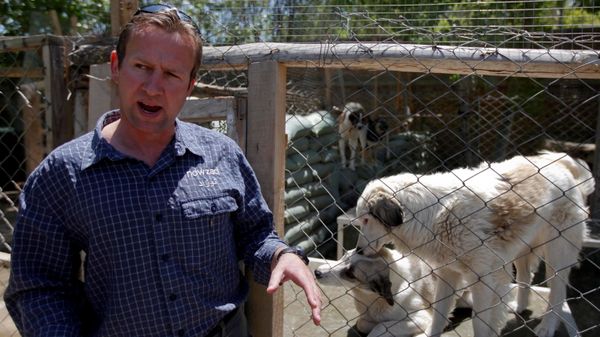 Pen Farthing, founder of British charity Nowzad, an animal shelter, stands in front of a cage on the outskirts of Kabul May 1, 2012 - Sputnik International