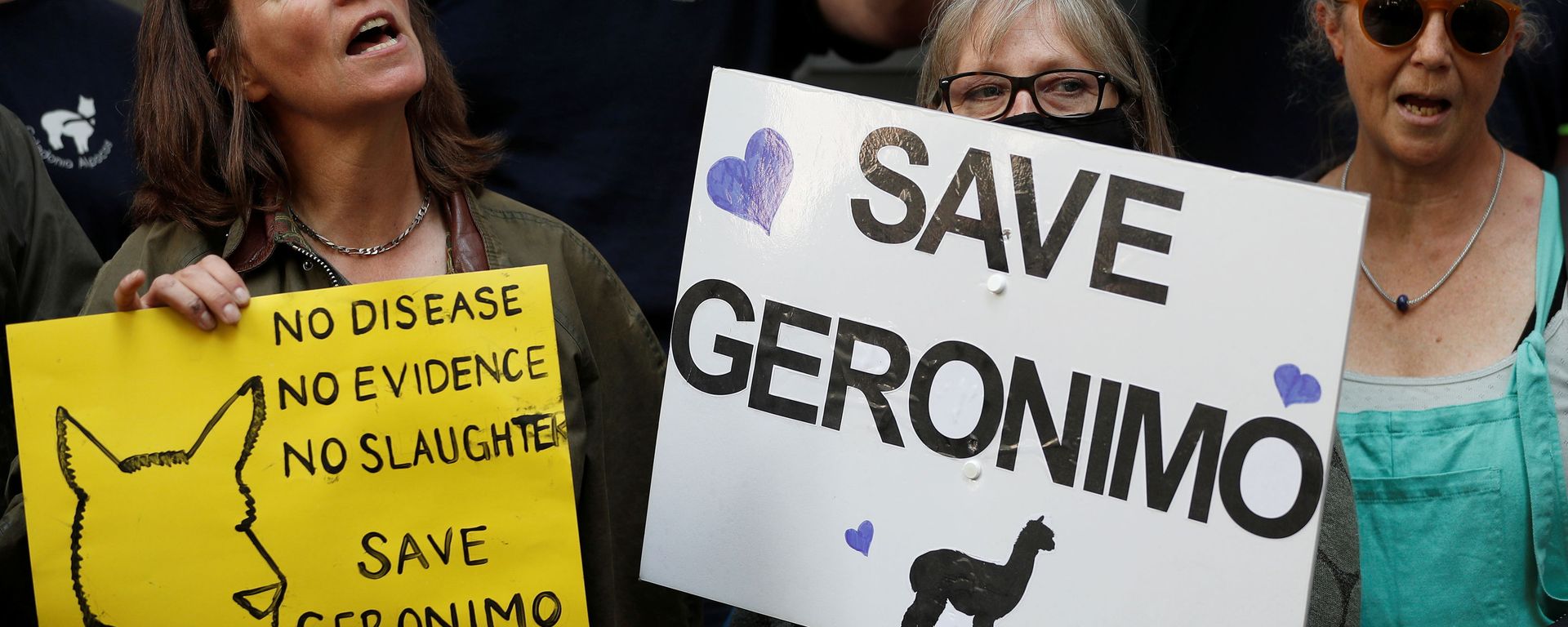 Protesters demonstrate against the ruling that Geronimo, an Alpaca believed to be carrying TB, has to be euthanised, in London Protesters demonstrate against the ruling that Geronimo, an Alpaca believed to be carrying TB, has to be euthanised, in London - Sputnik International, 1920, 31.08.2021