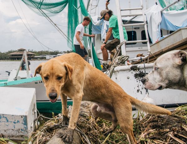 (L-R) Captains Jason Palmisano and Tommy Foret clean through the rubble on a boat on 1 September, 2021 in Jean Lafitte, Louisiana. Jean Lafitte Mayor Tim Kerner has pleaded for help for residents of the small town, which is roughly 20 miles south of New Orleans. Many stores remain closed and services are suspended as power throughout New Orleans and its surrounding region is down. Ida made landfall as a Category 4 hurricane on 29 August in Louisiana and caused flooding and wind damage along the Gulf coast.    - Sputnik International
