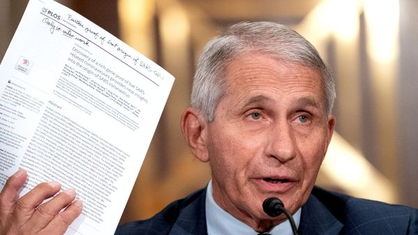 Dr. Anthony Fauci, director of the National Institute of Allergy and Infectious Diseases, speaks during a Senate Health, Education, Labor, and Pensions Committee hearing at the Dirksen Senate Office Building in Washington, D.C., U.S., July 20, 2021. - Sputnik International