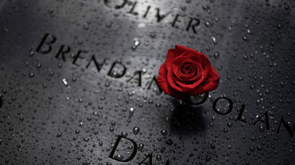 A rose is placed at the 9/11 Memorial ahead of the 20th anniversary of the September 11 attacks in Manhattan, New York City, U.S., September 10, 2021. - Sputnik International