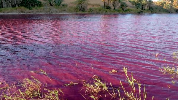 Red Waters of Lake Motro - Sputnik International