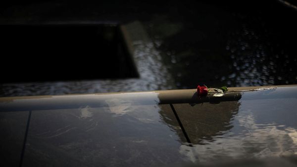 A rose is seen at the 9/11 Memorial on the day marking the 20th anniversary of the September 11, 2001 attacks in New York City, New York, U.S., September 11, 2021. - Sputnik International