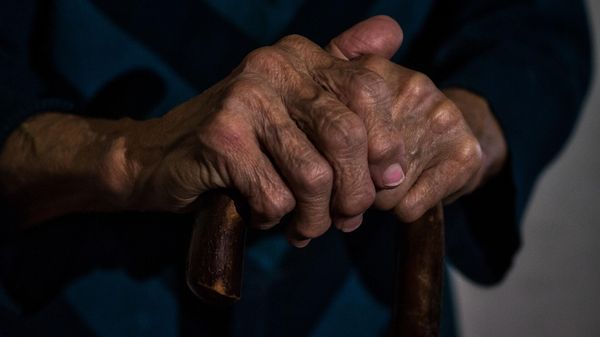 Old woman hands - Sputnik International