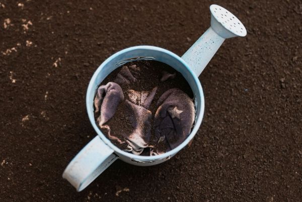 Ash is seen in a watering can and on the ground after the eruption of a volcano on the Canary Island of La Palma. - Sputnik International