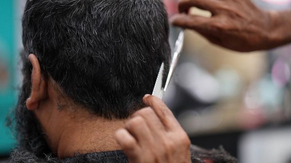 Barber - Sputnik International