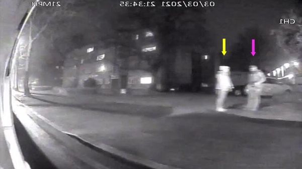 Wayne Couzens (pink) and Sarah Everard (yellow) caught on camera - Sputnik International