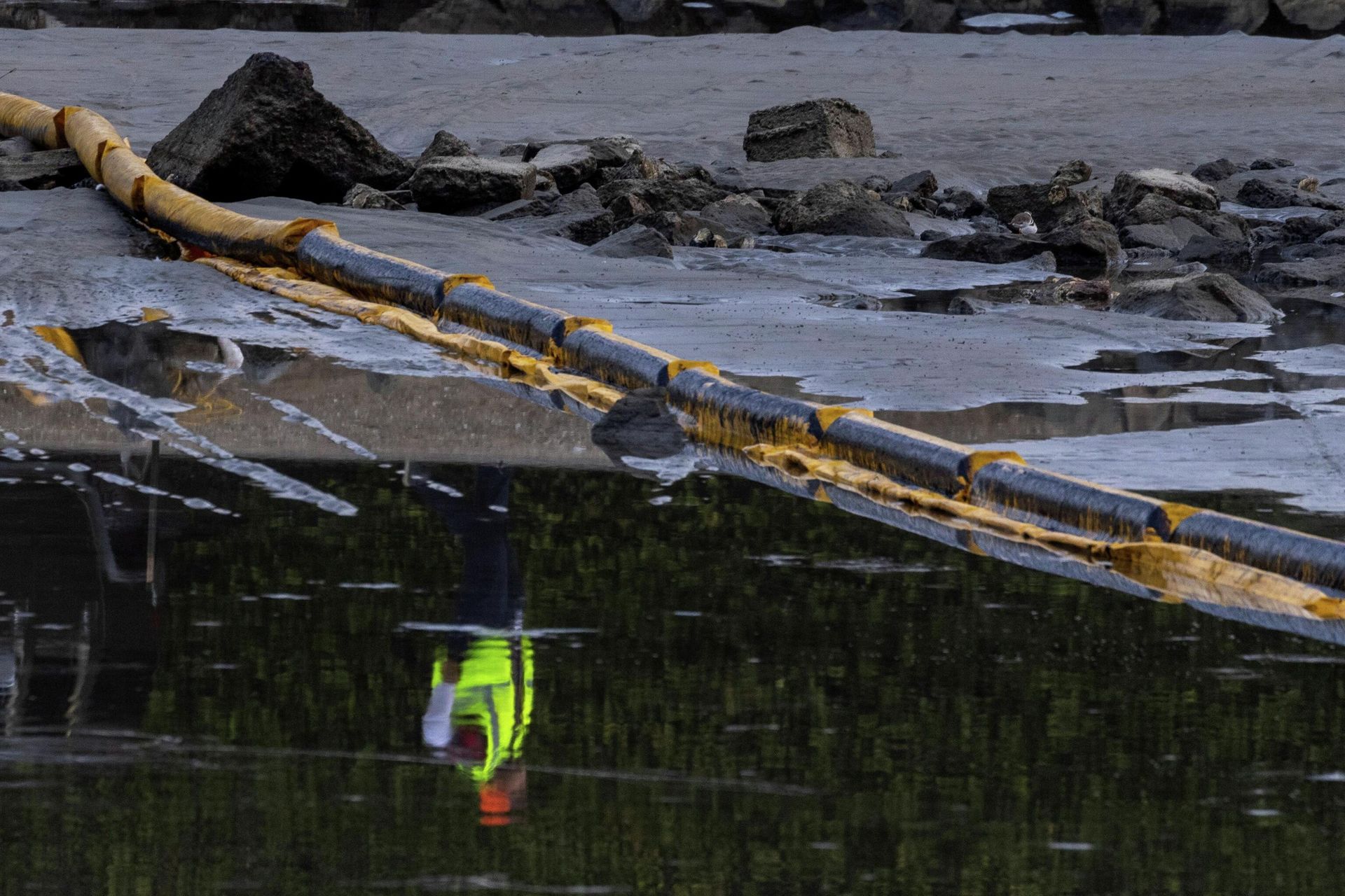A worker is reflected in the water of an estuary after a major oil spill off the coast of California came ashore in Huntington Beach, California, U.S., October 4, 2021. - Sputnik International, 1920, 15.10.2021