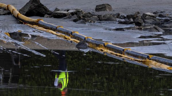 A worker is reflected in the water of an estuary after a major oil spill off the coast of California came ashore in Huntington Beach, California, U.S., October 4, 2021. - Sputnik International