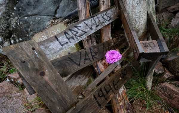 A flower on Vilk's wooden artwork "Nimis."  - Sputnik International