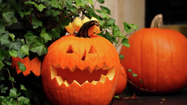 A jack-o-lantern is part of a Halloween display in front of an Upper East Side home on October 30, 2020 in New York City. - Sputnik International