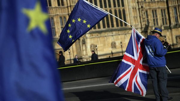 Pro-European Union,(EU), anti-Brexit demonstrator Steve Bray holds the EU and UK flags outside the Houses of Parliament, in central London on January 22, 2018 - Sputnik International