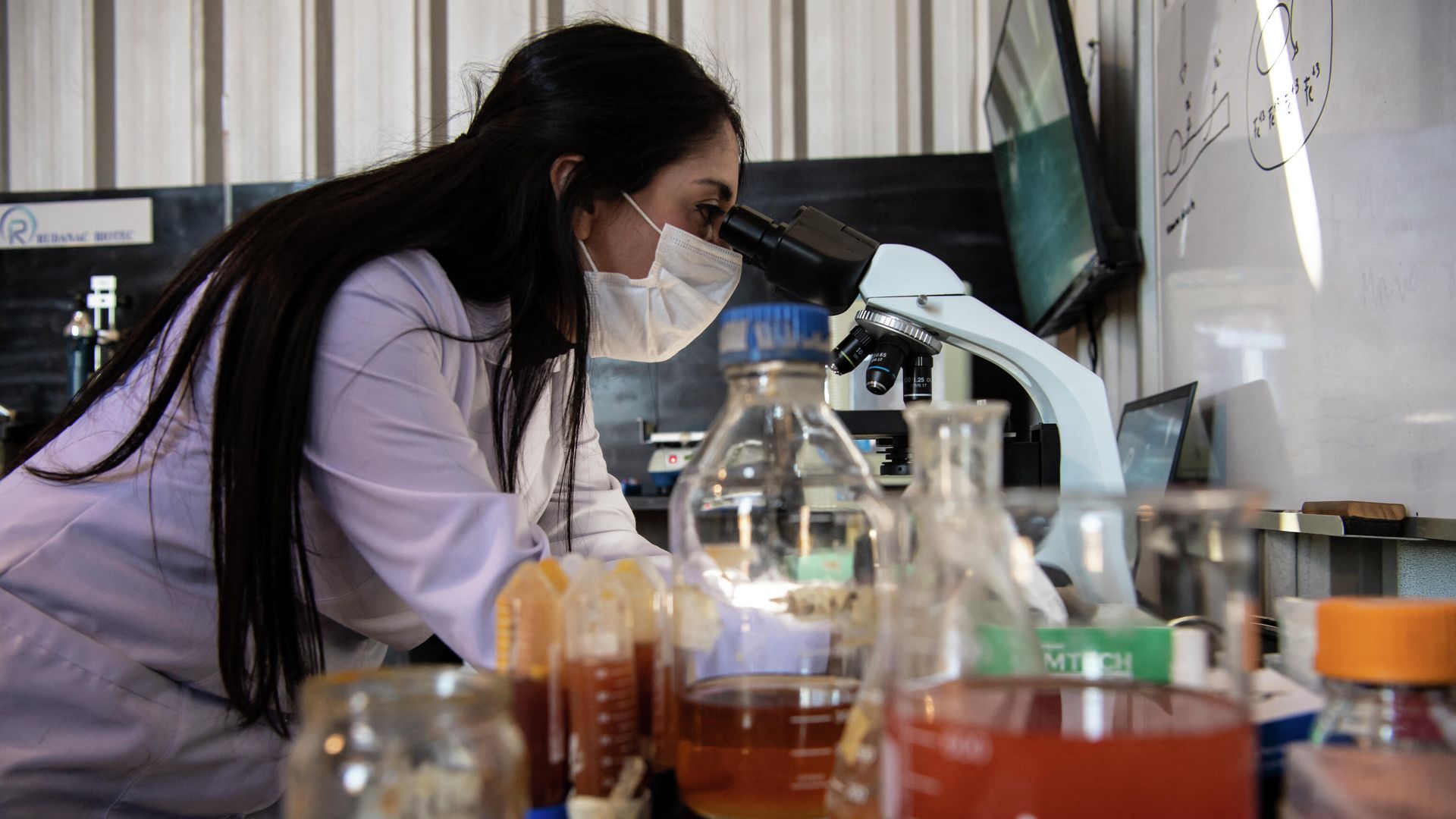 Chilean biotechnologist Nadac Reales works in her laboratory at a mining site in Antofagasta, Chile - Sputnik International, 1920, 10.10.2021