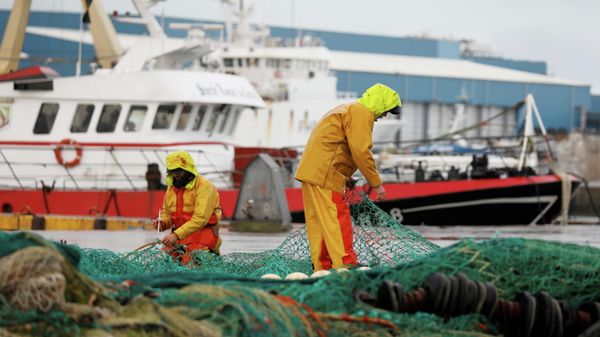 French fishermen repair their nets at Boulogne-sur-Mer after Britain and the European Union brokered a last-minute post-Brexit trade deal, northern France, December 28, 2020 French fishermen repair their nets at Boulogne-sur-Mer after Britain and the European Union brokered a last-minute post-Brexit trade deal, northern France, December 28, 2020 - Sputnik International