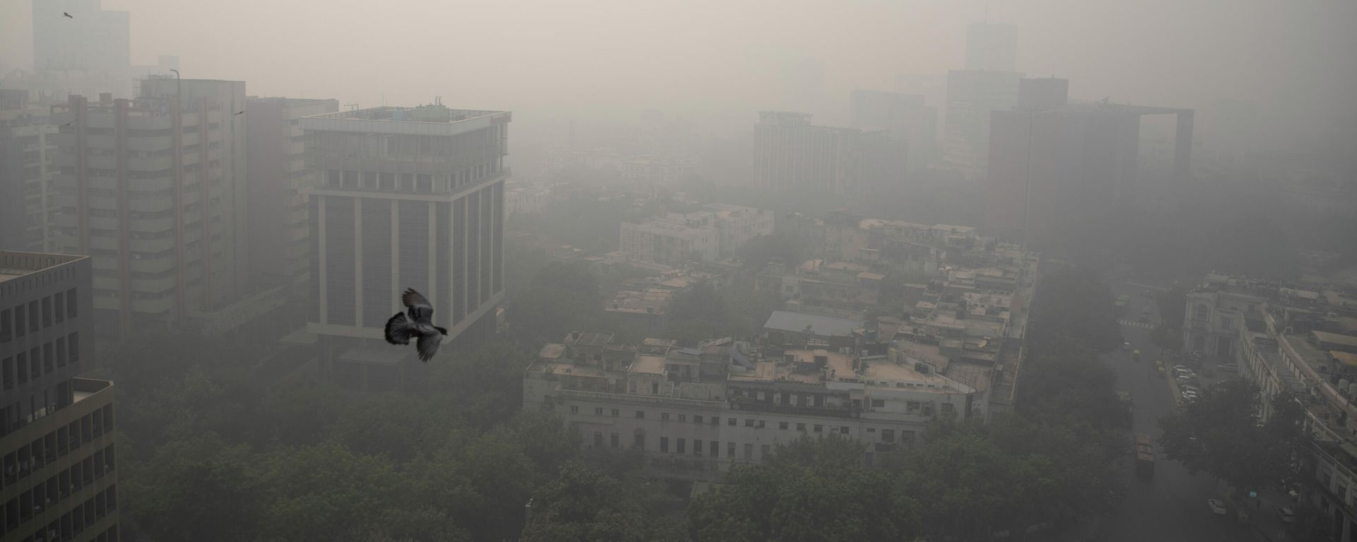 Smog envelopes the skyline in New Delhi, India, Wednesday, Nov. 4, 2020 - Sputnik International, 1920, 27.10.2022