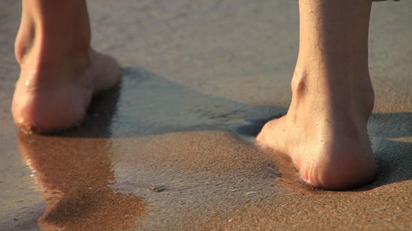 Barefoot  - Sputnik International