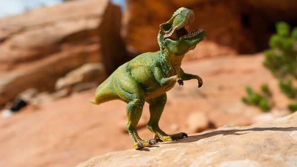 Tiny Dinosaur - Sputnik International