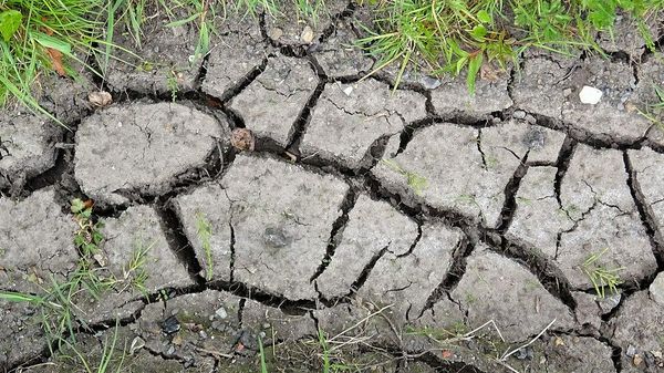 Cracked earth in a ditch after prolonged drought. 2020. Kilmaurs parish - Sputnik International