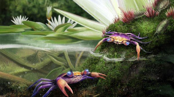 An artwork depicting Cretapsara athanata, a 100-million-year-old species of true crabs, whose remains were found perfectly preserved in amber. - Sputnik International