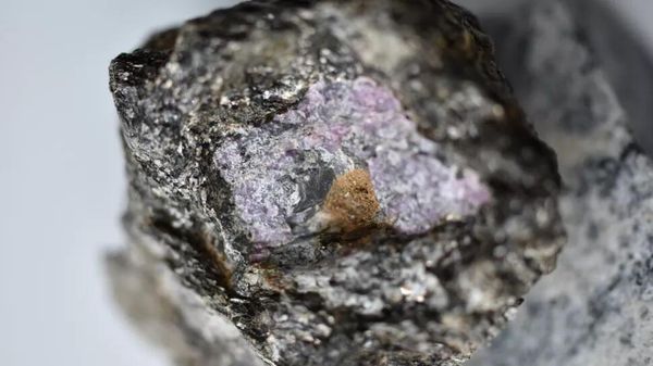Scientists discover hints of ancient life inside a 2.5 billion-year-old ruby Scientists discover hints of ancient life inside a 2.5 billion-year-old ruby - Sputnik International