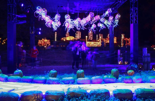 People walk by illuminated carved pumpkins during "The Great Jack O'Lantern Blaze" at Van Cortlandt Manor on 27 October 2021 in Croton-on-Hudson, New York, ahead of Halloween. - Sputnik International