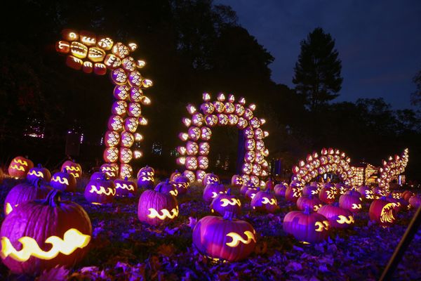 A mythical animal made of illuminated carved pumpkins is displayed during "The Great Jack O'Lantern Blaze" at Van Cortlandt Manor on 27 October 2021 in Croton-on-Hudson, New York, ahead of Halloween. - Sputnik International