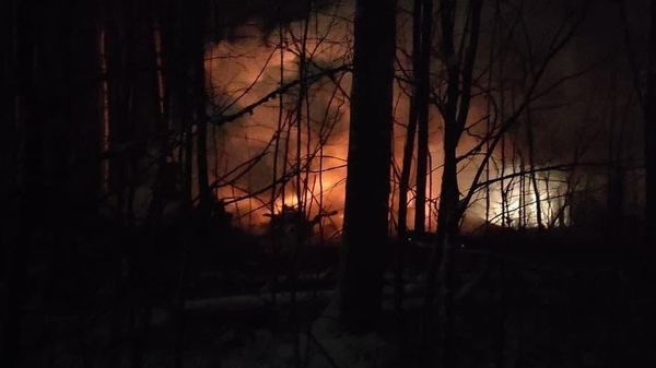 A photo allegedly taken at the site of the An-12 plane crash near Irkutsk, Russia - Sputnik International