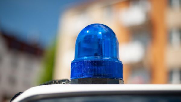 Police lights - Sputnik International