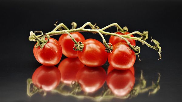 Tomatoes - Sputnik International