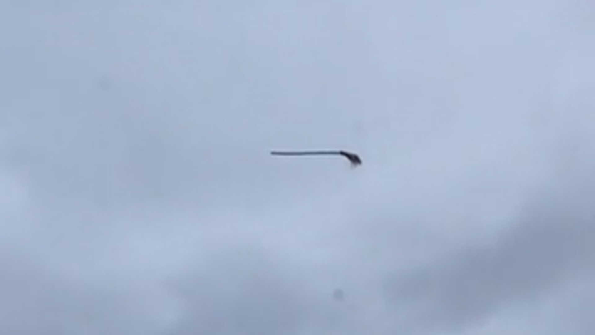 Misterious broomstick - Sputnik International, 1920, 11.11.2021