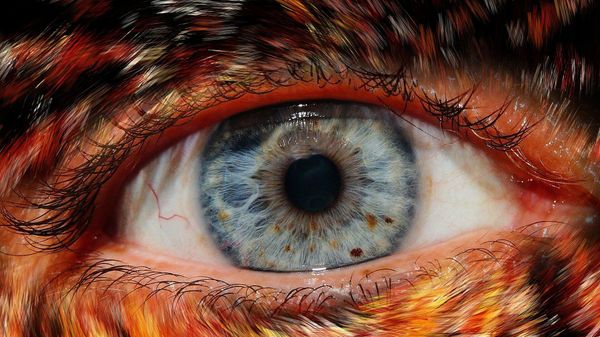 Eye of a werewolf - Sputnik International