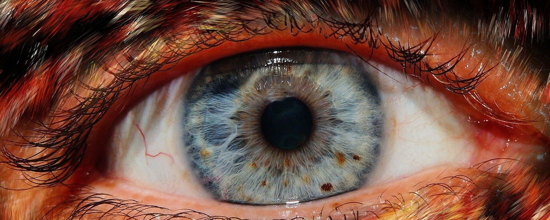 Eye of a werewolf Eye of a werewolf - Sputnik International, 1920, 13.11.2021
