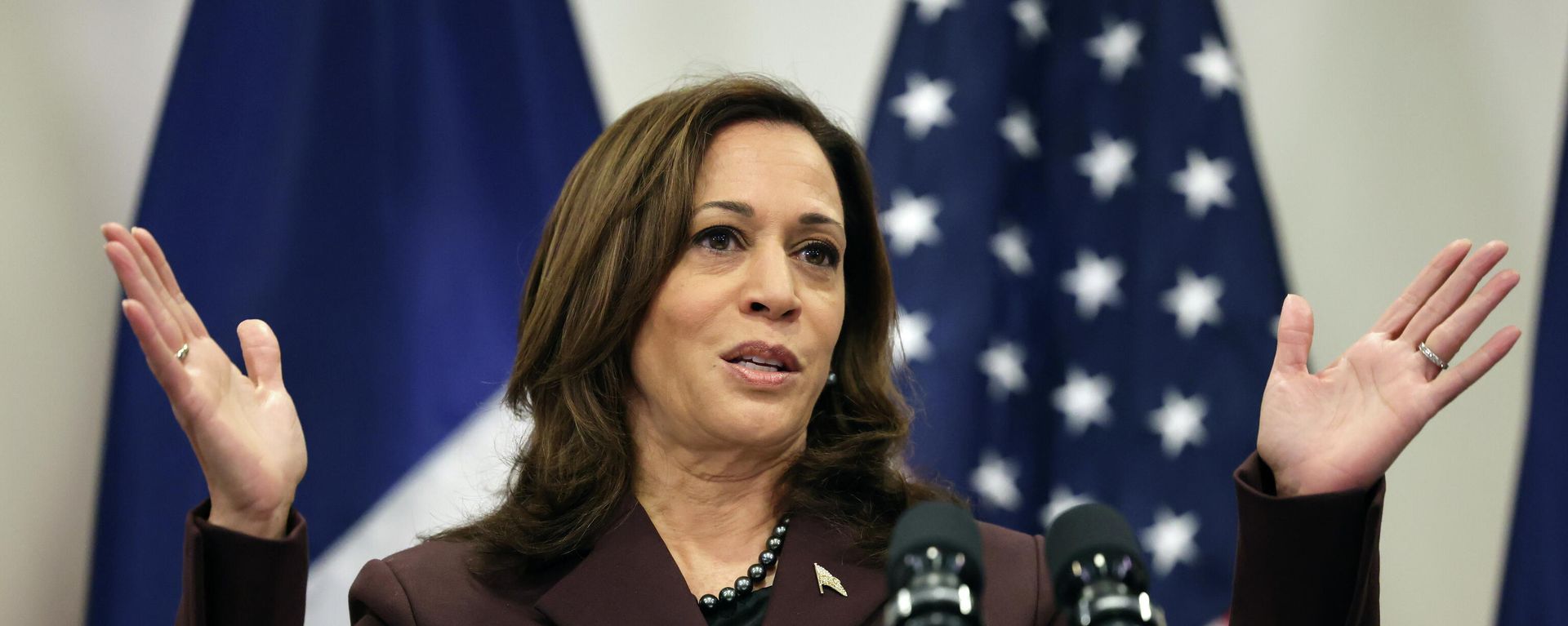 U.S. Vice-President Kamala Harris gestures as she gives a press conference in Paris, France November 12, 2021 U.S. Vice-President Kamala Harris gestures as she gives a press conference in Paris, France November 12, 2021 - Sputnik International, 1920, 18.11.2021