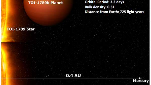 ISRO Scientists Discover Inflated Hot Jupiter  - Sputnik International